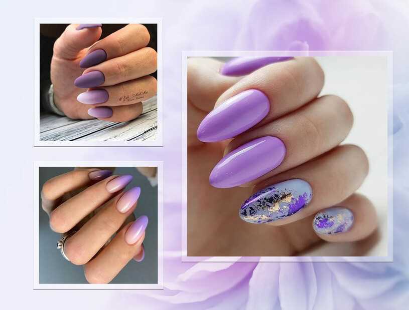  Тассянка фиолетового цвета 